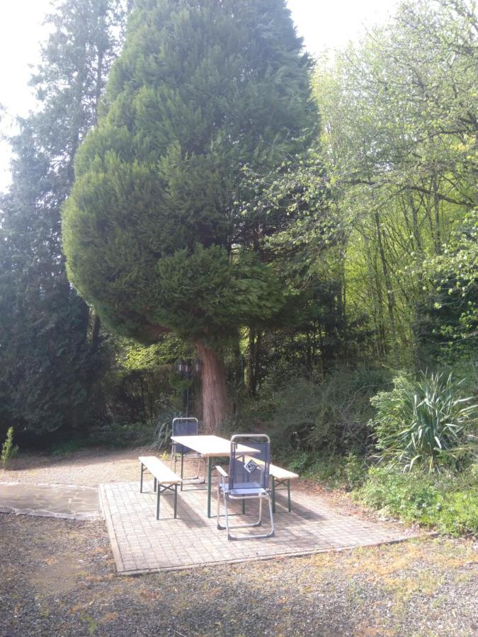 A L'Oree Du Bois Hamoir Εξωτερικό φωτογραφία